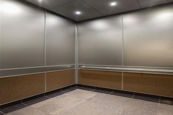 Elevator Custom Stainless Steel Products Composite Panel Etched Process supplier